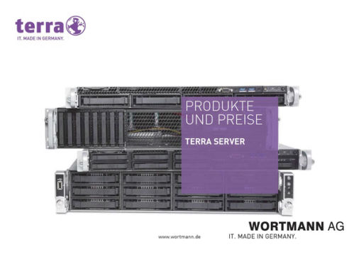 Terra_Server